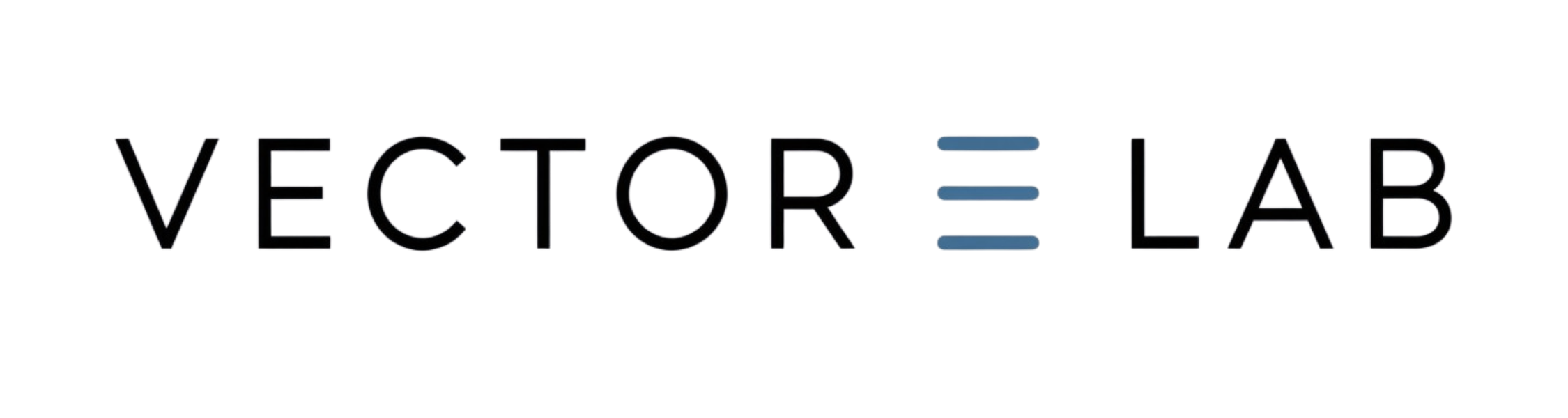 Vector E Lab