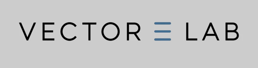Vector E Lab