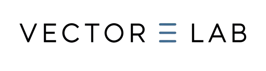 Vector E Lab